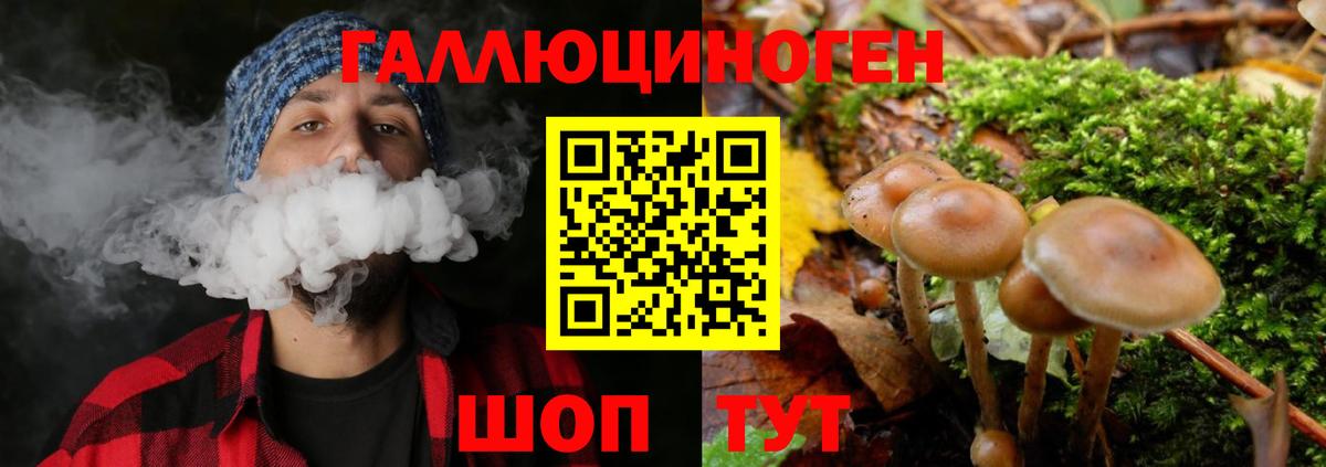 Галлюциногенные грибы Cubensis Муравленко