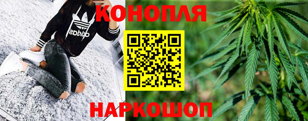 Каннабис план Муравленко